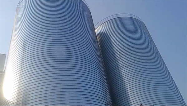 景县2座混凝土高架卷板仓